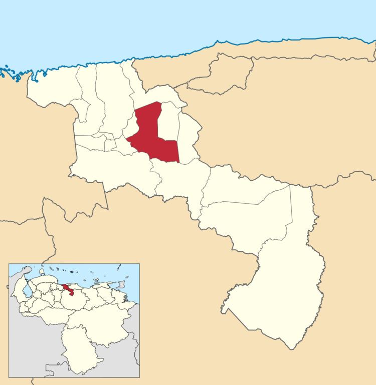 José Félix Ribas Municipality, Aragua