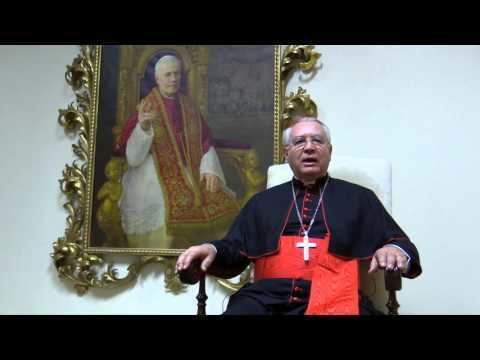 José Francisco Cardenal WN jos francisco cardenal