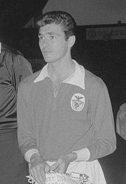 José Águas httpsuploadwikimediaorgwikipediacommonsthu