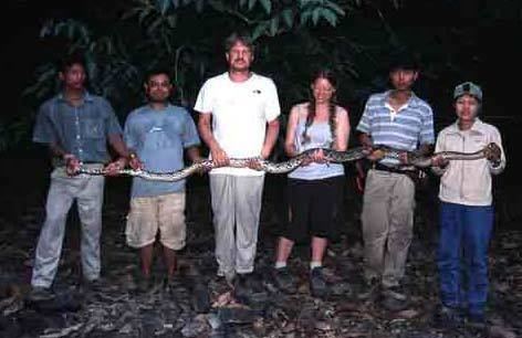 Joseph Bruno Slowinski carrying a python along with his colleagues in the Myanmar Herpetological Survey Project