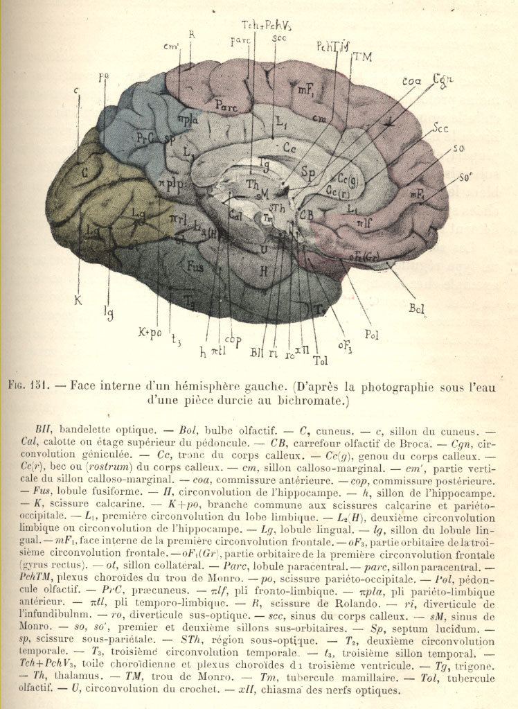 Joseph Jules Dejerine Alchetron The Free Social Encyclopedia