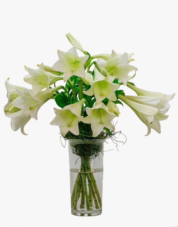 Joseph Lilly St Joseph Lilly Vase A Simple Generous St Joseph Lilies Bouquet SA