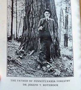 Joseph S. Illick PENNSYLVANIA TREES JOSEPH S ILLICK 1928 eBay