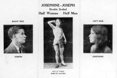 Josephine Joseph Josephine Joseph Wikipedia the free encyclopedia