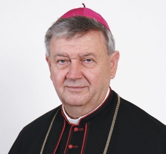 Josip Mrzljak Godina posveenog ivota u Varadinskoj biskupiji