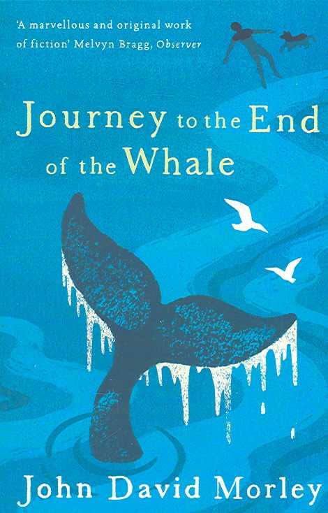 Journey to the End of the Whale t2gstaticcomimagesqtbnANd9GcSMNXrw5RIOLalJX