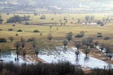 Jovsi LIFE Natura 2000 v Sloveniji upravljavski modeli in informacijski