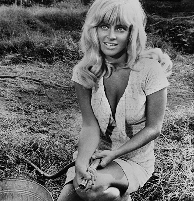 Joy Harmon smiling while holding a hose in a movie scene from Cool Hand Luke (1967 film)