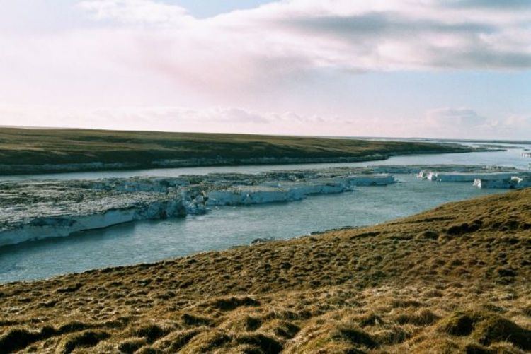 Þjórsá Saving Iceland jrs Tungna and Kldukvsl rivers