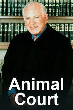 Judge Wapner's Animal Court wwwgstaticcomtvthumbtvbanners413927p413927
