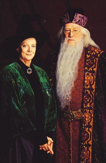 Judianna Makovsky 163 best Harry Potter Costumes images on Pinterest Harry potter