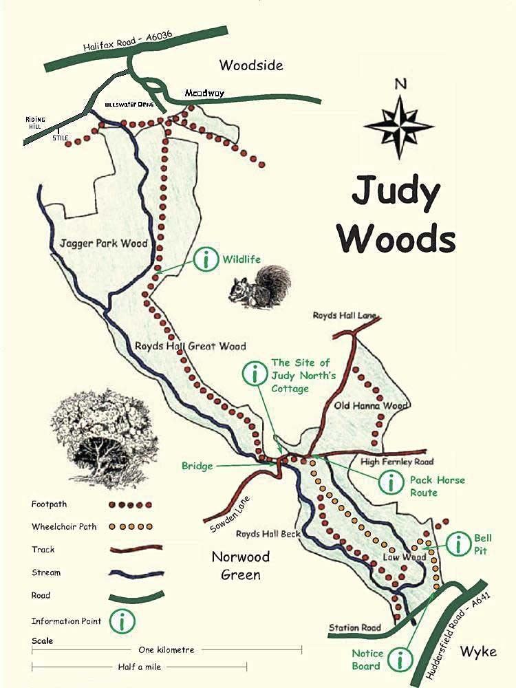 Judy Woods Introduction to Judy Woods