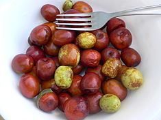 Jujube httpsuploadwikimediaorgwikipediacommonsthu