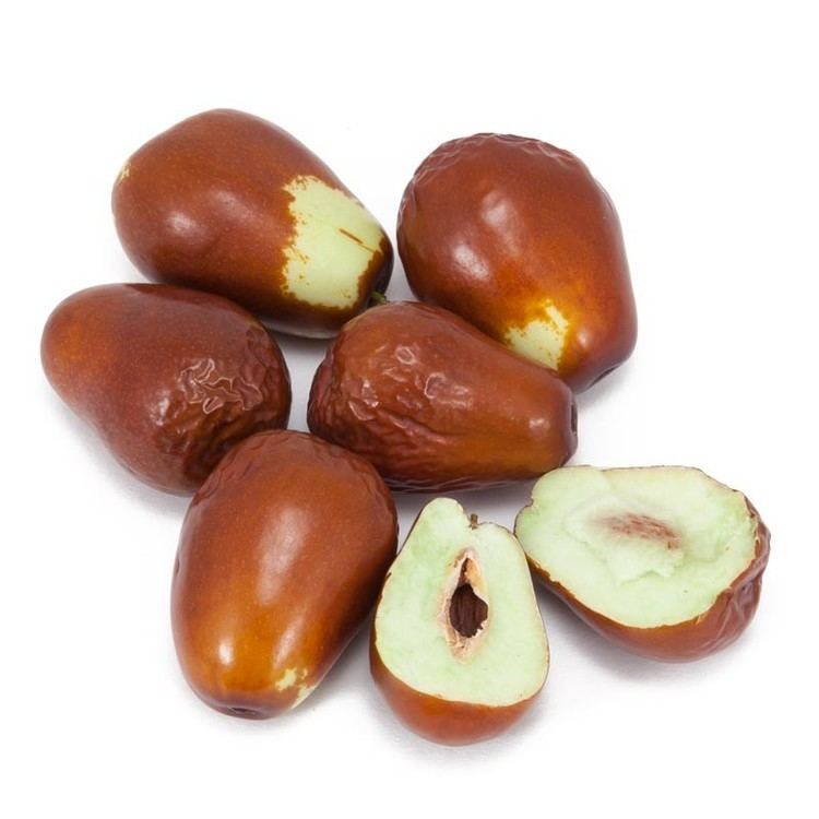 Jujube Jujube Trees Bare Root Jujube Trees Grow Jujube Trees Buy Bare