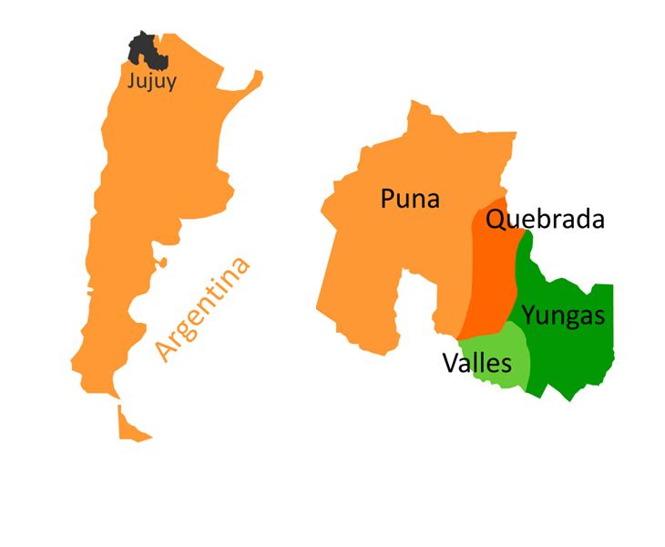 Jujuy Province in the past, History of Jujuy Province