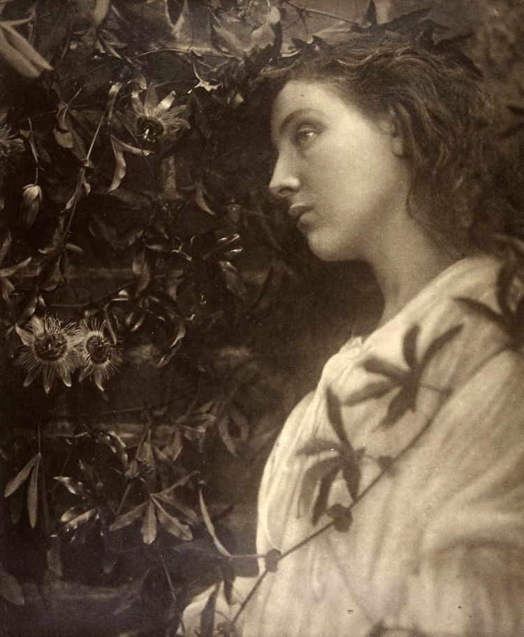 Julia Margaret Cameron Julia Margaret Cameron Le tournesol Art Blart