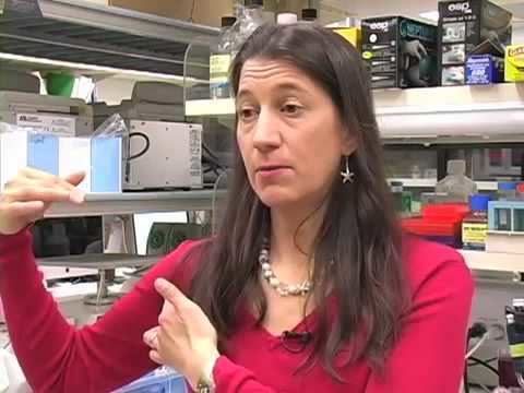 Julie Segre No Longer Germ Warfare An Interview with Dr Julie Segre YouTube