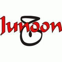 Junoon discography