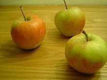 Jupiter (apple) httpsuploadwikimediaorgwikipediacommonsthu