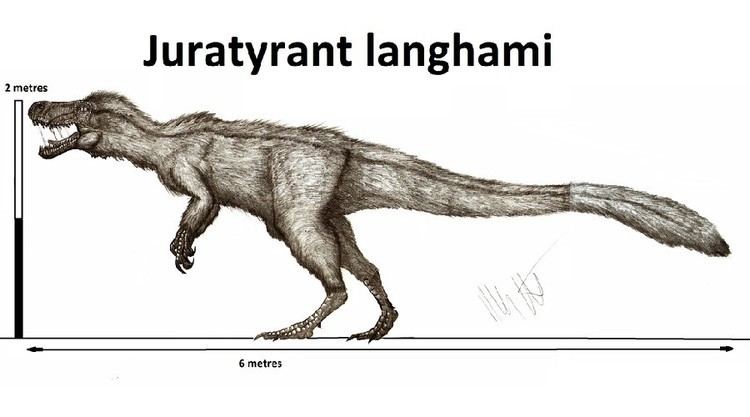 Juratyrant Juratyrant Pictures amp Facts The Dinosaur Database