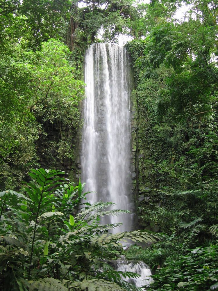 Jurong Falls httpsuploadwikimediaorgwikipediacommons77