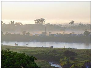 Juruá River httpsuploadwikimediaorgwikipediacommonsthu