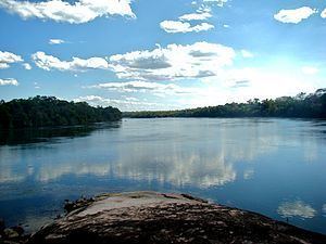 Juruena River httpsuploadwikimediaorgwikipediacommonsthu