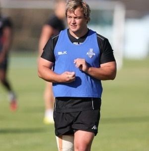 Montpellier sign Golden Lions prop as injury cover | Sport