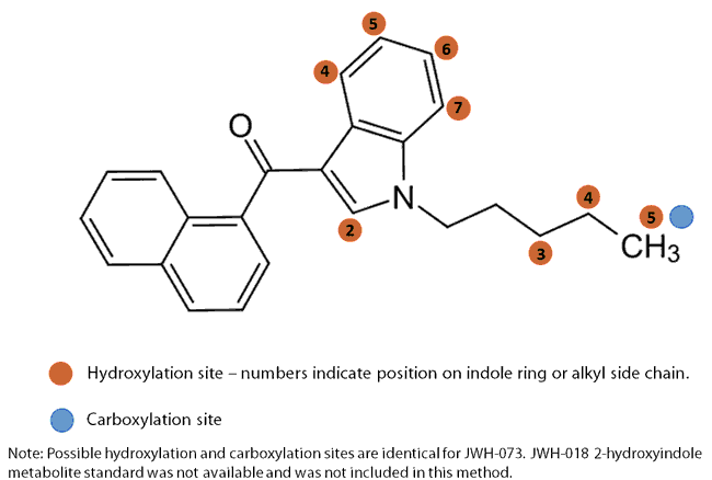JWH-018 LCMSMS Analysis of Metabolites of Synthetic Cannabinoids JWH018