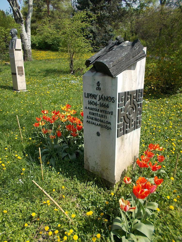 József Seregi FileMemorial of Jnos Lippay by Jzsef Seregi in Buda Arboretum