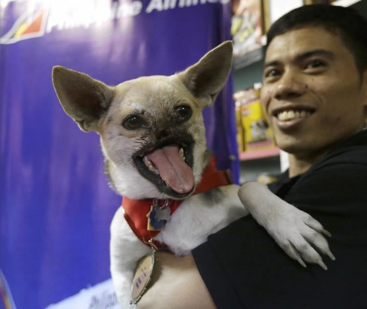 Kabang Hero dog Kabang returns home NY Daily News