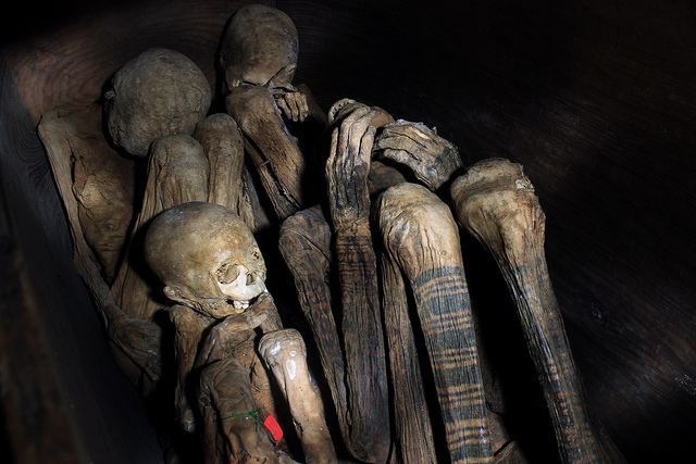 Kabayan Mummies Kabayan fire mummies Tripfreakzcom
