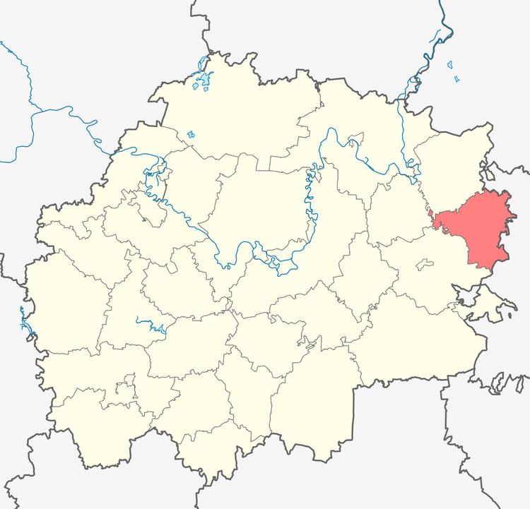 Kadomsky District