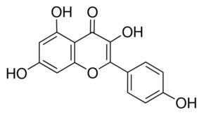 Kaempferol Kaempferol 90 HPLC powder SigmaAldrich