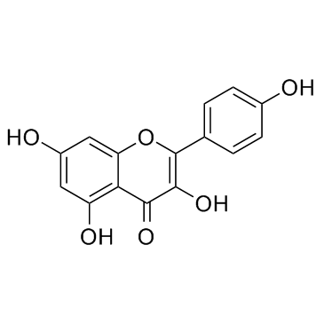 Kaempferol KaempferolRobigeninKempferolCAS 520183 Buy Kaempferol from