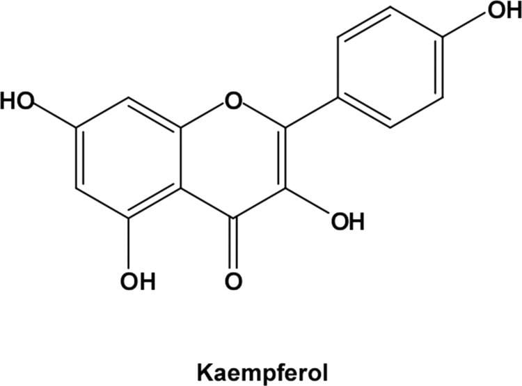 Kaempferol Kaempferol Attenuates 4HydroxynonenalInduced Apoptosis in PC12