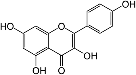 Kaempferol Kaempferol attenuates the glutamateinduced oxidative stress in