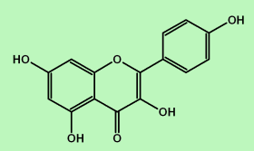 Kaempferol kaempferolgif