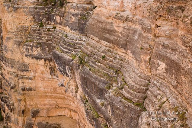 Kaibab Limestone Photo Rock layers on the South Rim Kaibab Limestone Grand Canyon
