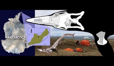 Kaikaifilu Species New to Science Paleontology 2017 Kaikaifilu hervei A