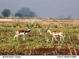 Kaimur Wildlife Sanctuary Draft Notification of the Kaimur Wildlife Sanctuary Shahabad