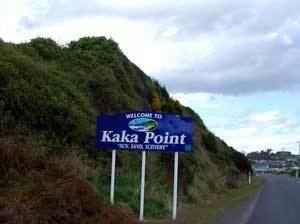 Kaka Point wwwvisitnewzealandconzcatlinsKakaPointjpg