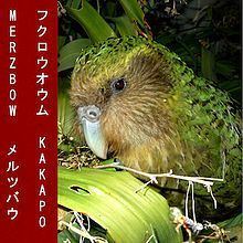 Kakapo (album) httpsuploadwikimediaorgwikipediaenthumb1