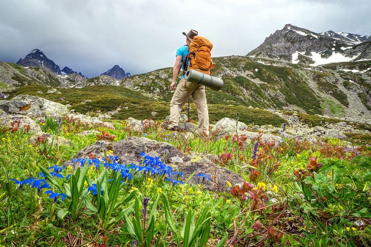 Kaçkar Mountains Wildflowers amp Ice Hiking Turkey39s Majestic Kackar Mountains