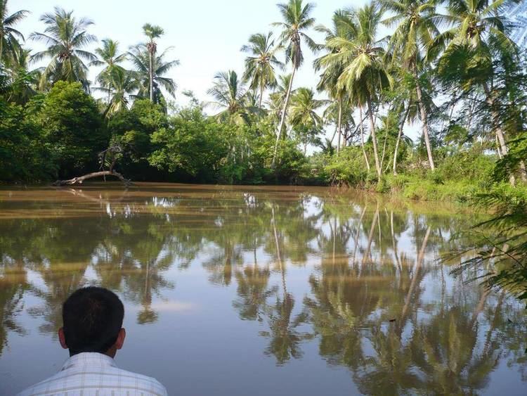 Kakinada hopkinstypepadcoma6a00d83451db8d69e2010535bf7