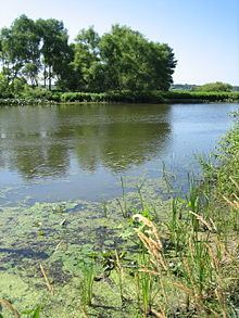 Kalamazoo River httpsuploadwikimediaorgwikipediacommonsthu