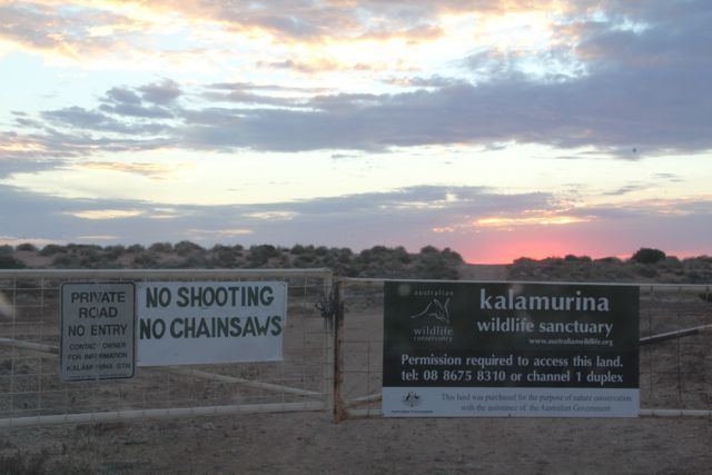 Kalamurina Sanctuary armstrong2012bloganatorgaufiles201209IMG0
