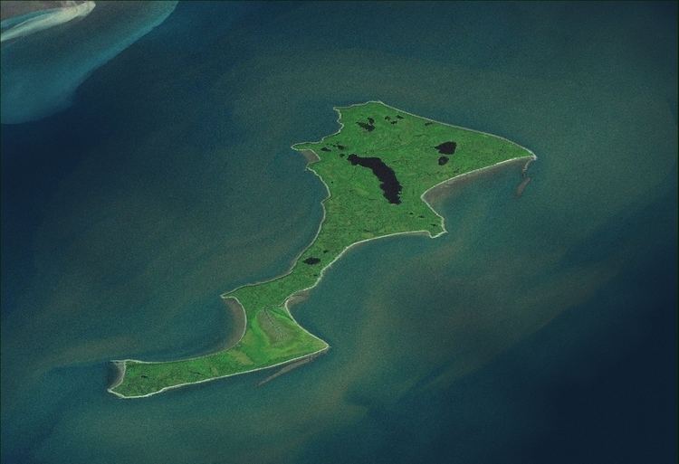 Kalgin Island httpsuploadwikimediaorgwikipediacommonsbb