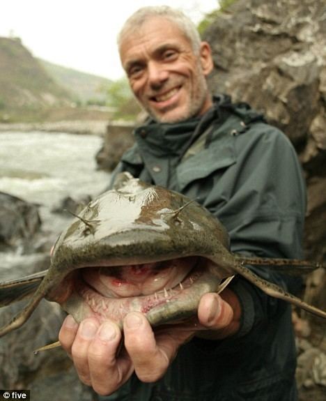 Kali River goonch attacks Mutant fish with taste for human flesh attacks swimmers in Indian