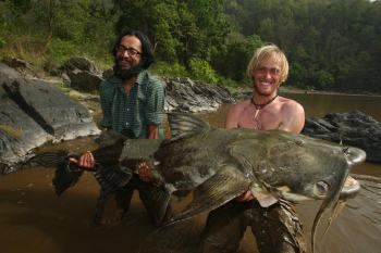 Kali River goonch attacks Maneater Goonch Cat Fish of Kali River Hunting